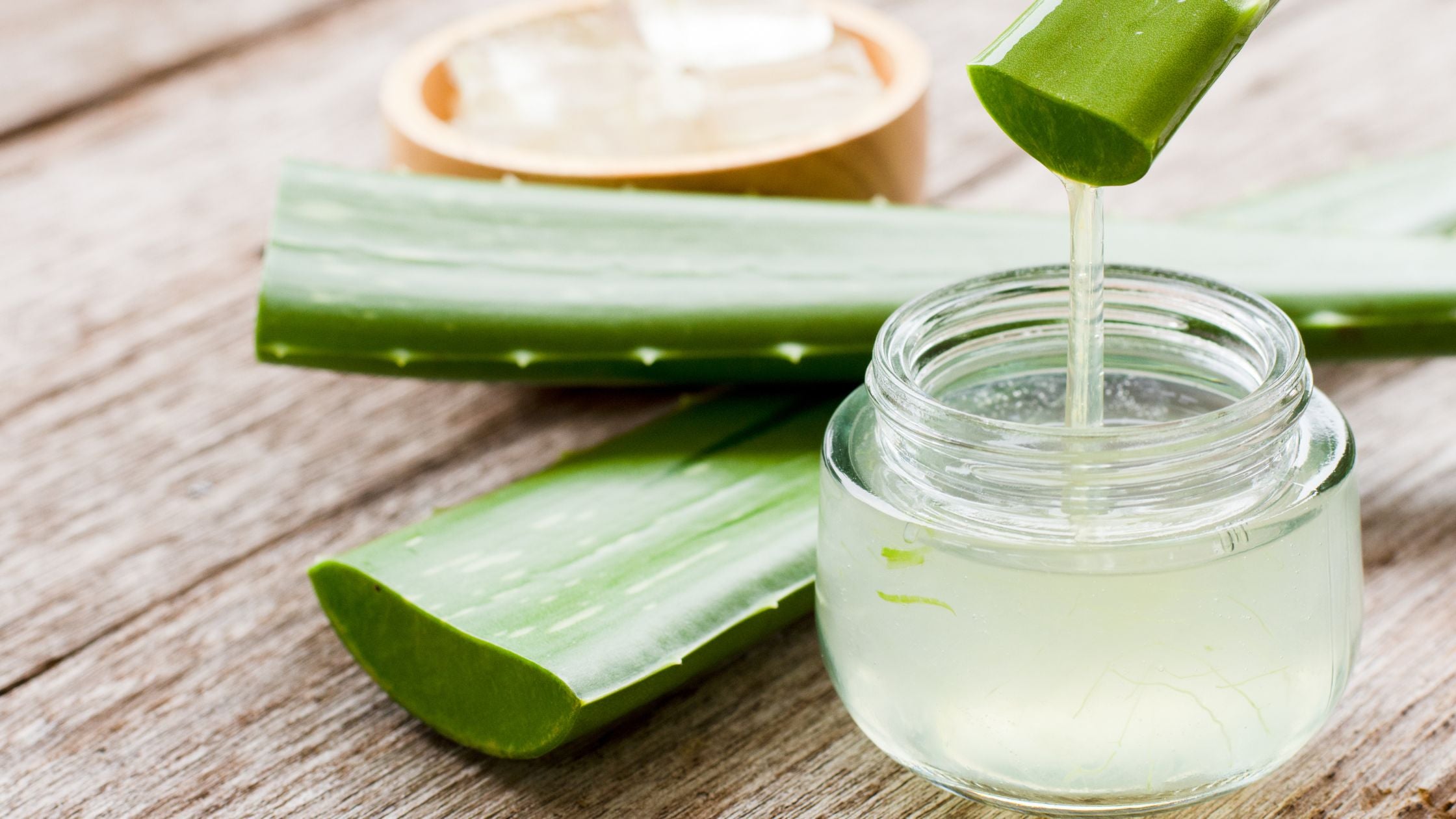 Aloe Vera Shampoo