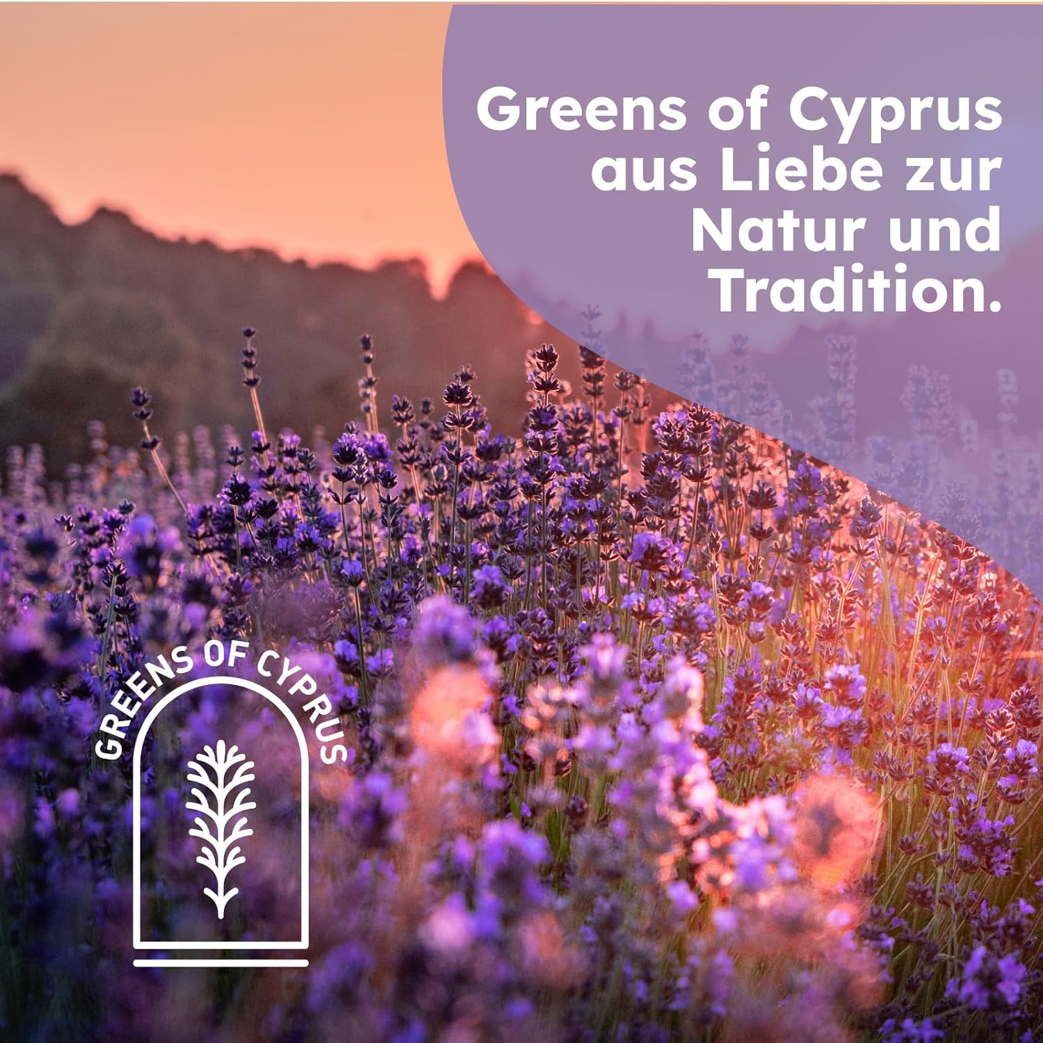 Bio Lavendelöl von Greens of Cyprus, 100% naturreines ätherisches Lavendelöl im Glasflacon, aromatisch und wohltuend.