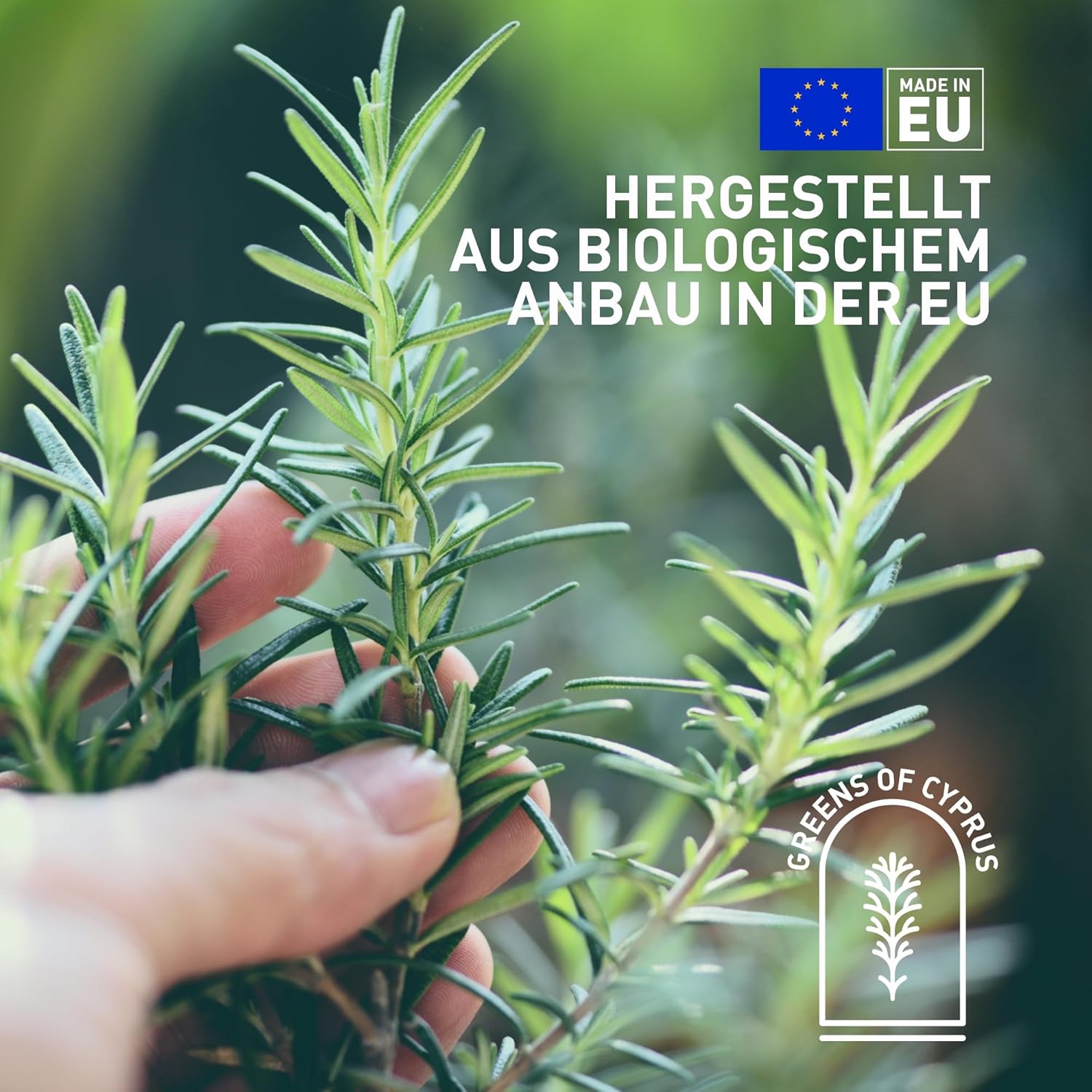 Natürliches Bio-Rosmarinöl von Greens of Cyprus in einer dunklen Flasche, Nahaufnahme des ätherischen Rosmarinöls.