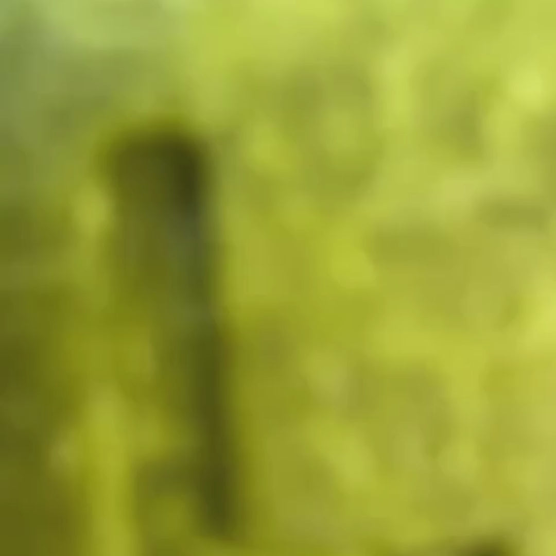 Video laden: LOVE SOAP – LEMONGRASS - Festes Shampoo